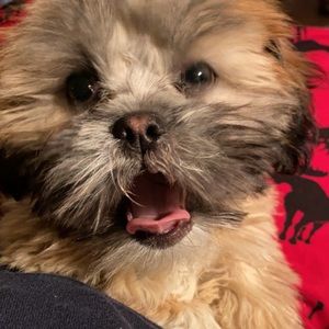 Meet your Posher, Serena